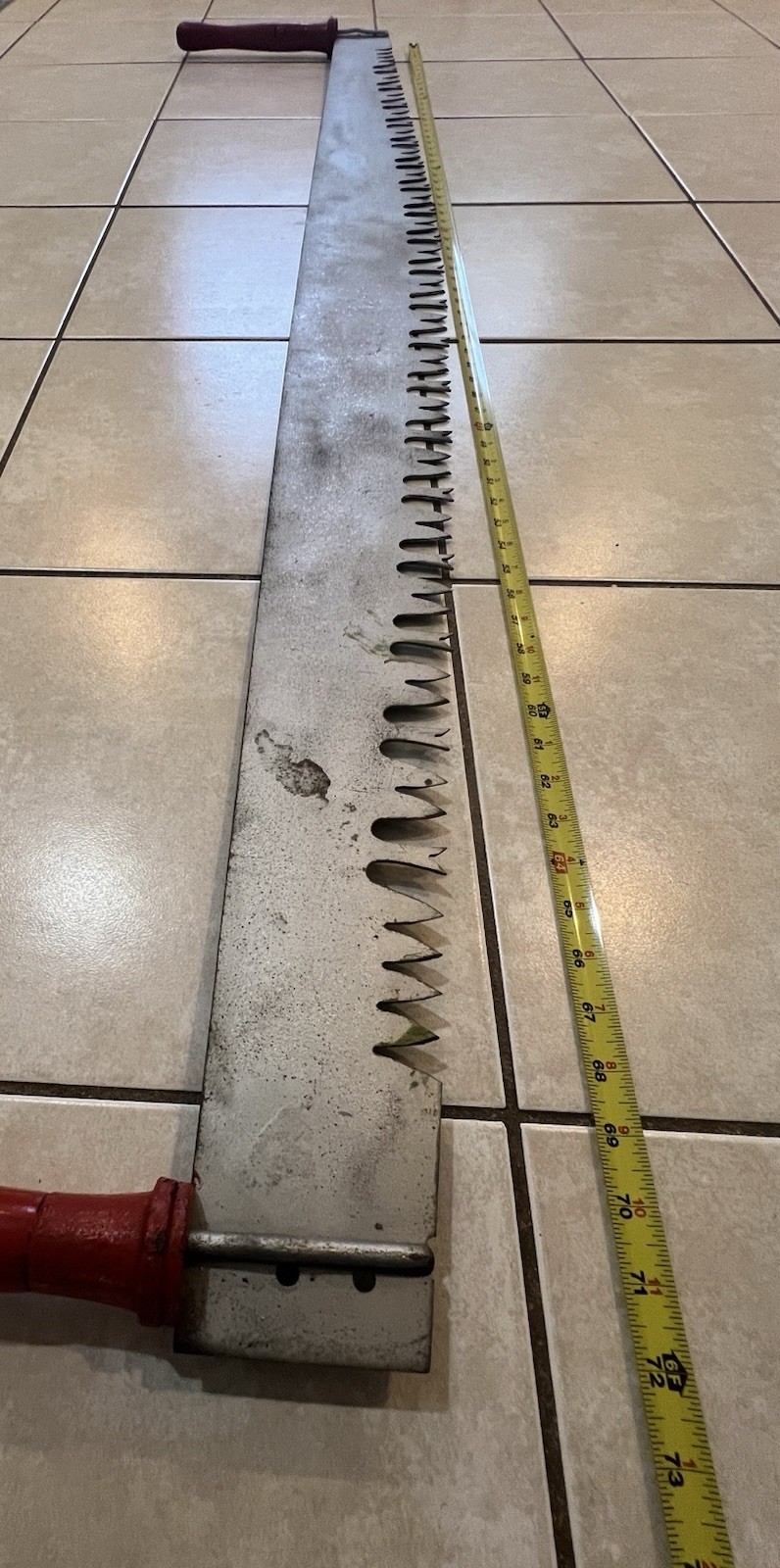 6 Foot Hand Painted 2 Man 2 Handle Crosscut Saw Signed By Artist ~Four Seasons