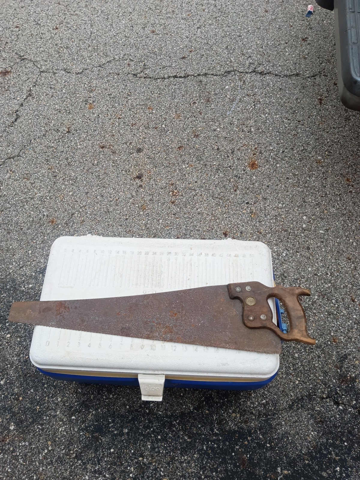 Antique E. C. Atkins & Co. Hand Saw