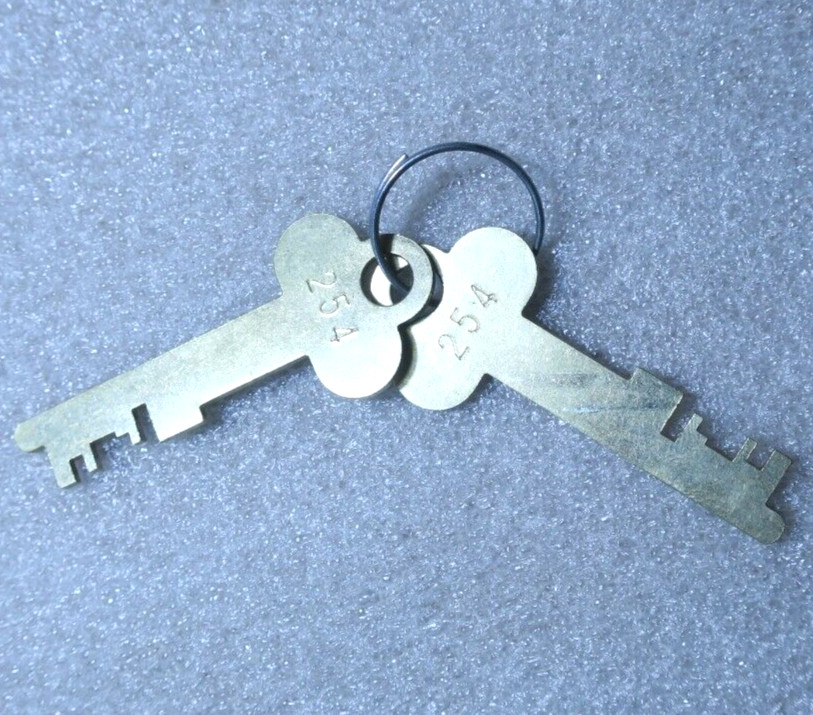 Vintage DIEBOLD INC Flat Key Set #254 Canton Ohio Safety Box Key ✅