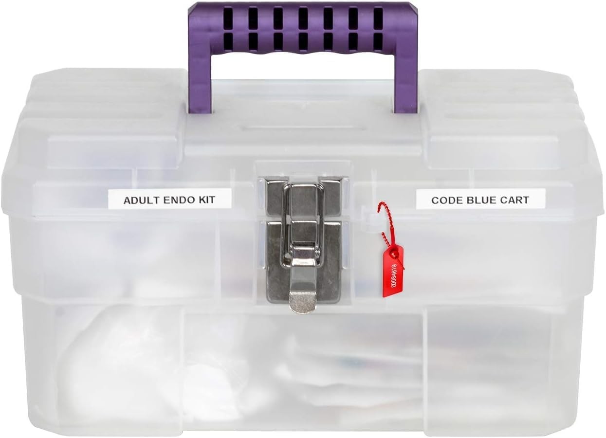 Clear Plastic Toolbox with Removable Tray & Steel Latch