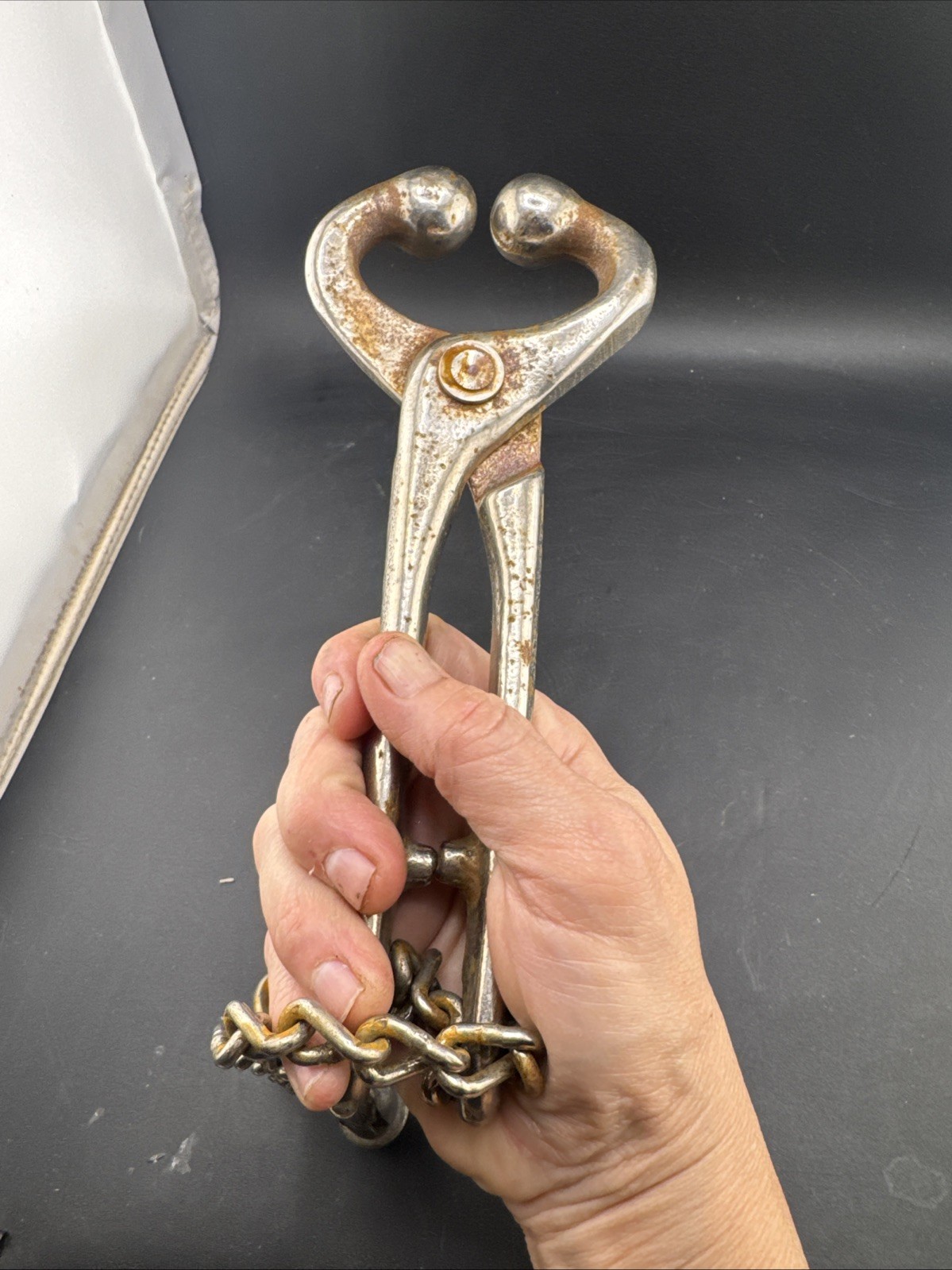 VTG 8” Bull/Cow Nose Lead Clamp Pliers Cast Iron Farm/Rancher Tool Rustic 1940’s