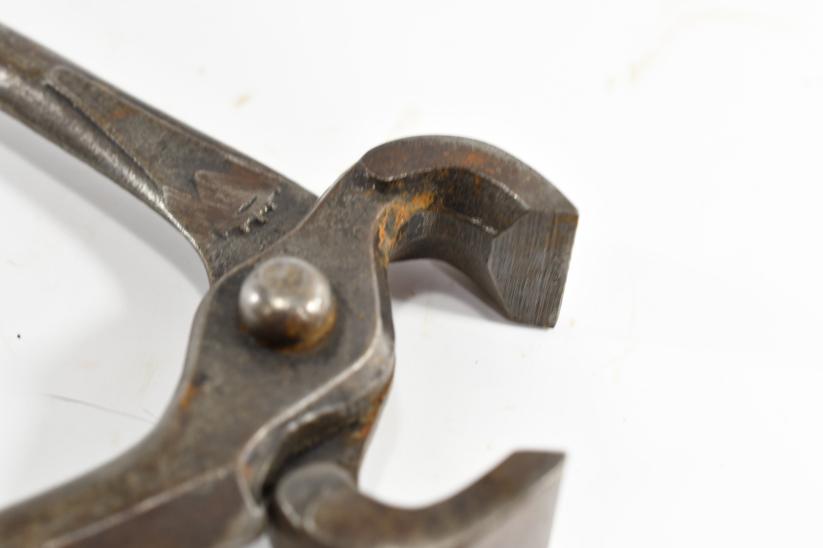 Vintage 8” Blacksmith Farrier Hoof Nippers Nail puller / ball end N381