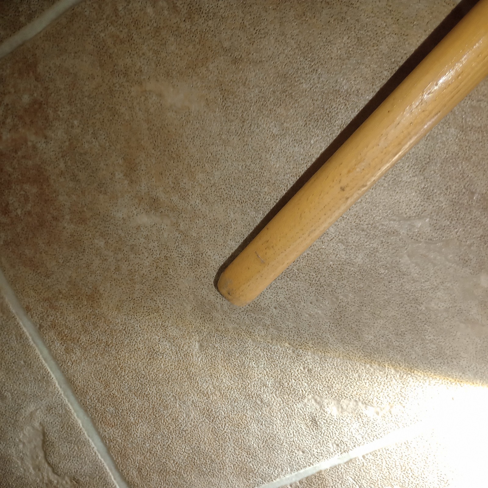True Temper Axe True American Boys Axe hardwood Handle in usa ames