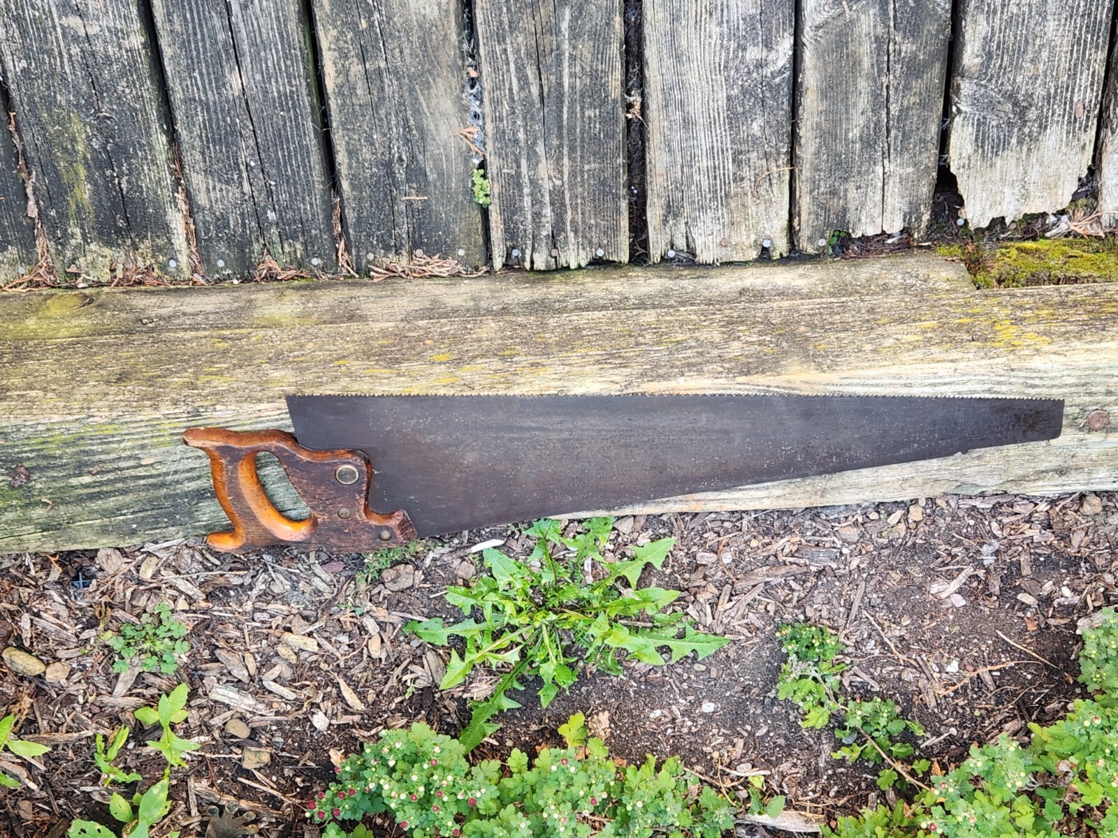 1887 Warranted Superior Hand Saw Medallion 26-1/2″ Blade 8 TPI Nib Vtg Antique