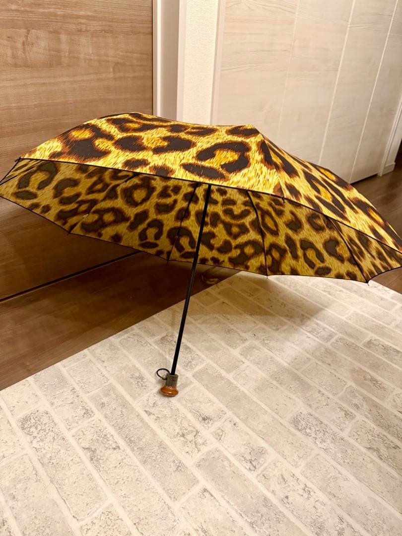 Vivienne Westwood Vintage Umbrella 100cm Unisex Used Fashion Large