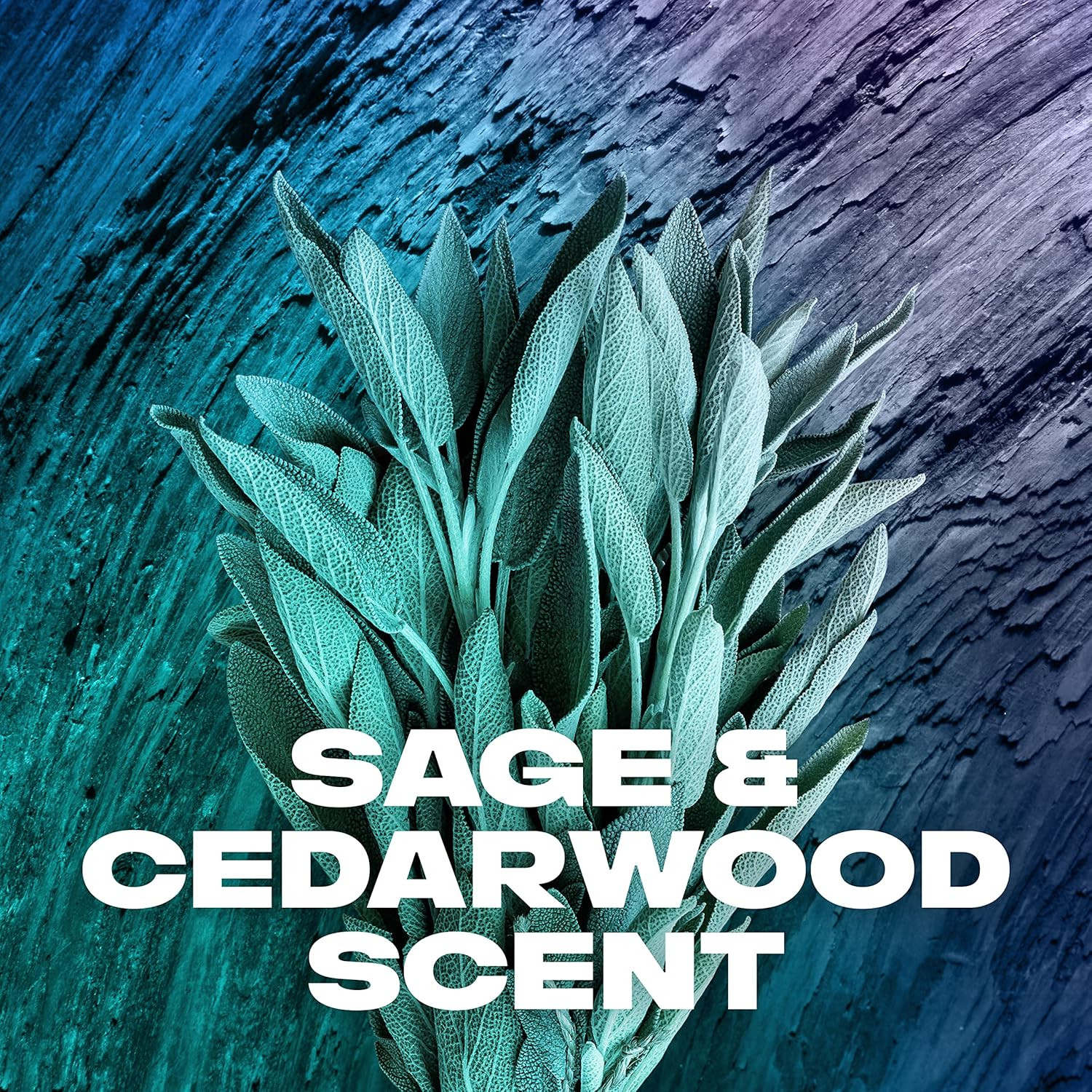 AXE Sage & Cedarwood Body Wash Apollo 4 Count for Long Lasting Freshness Men’S B