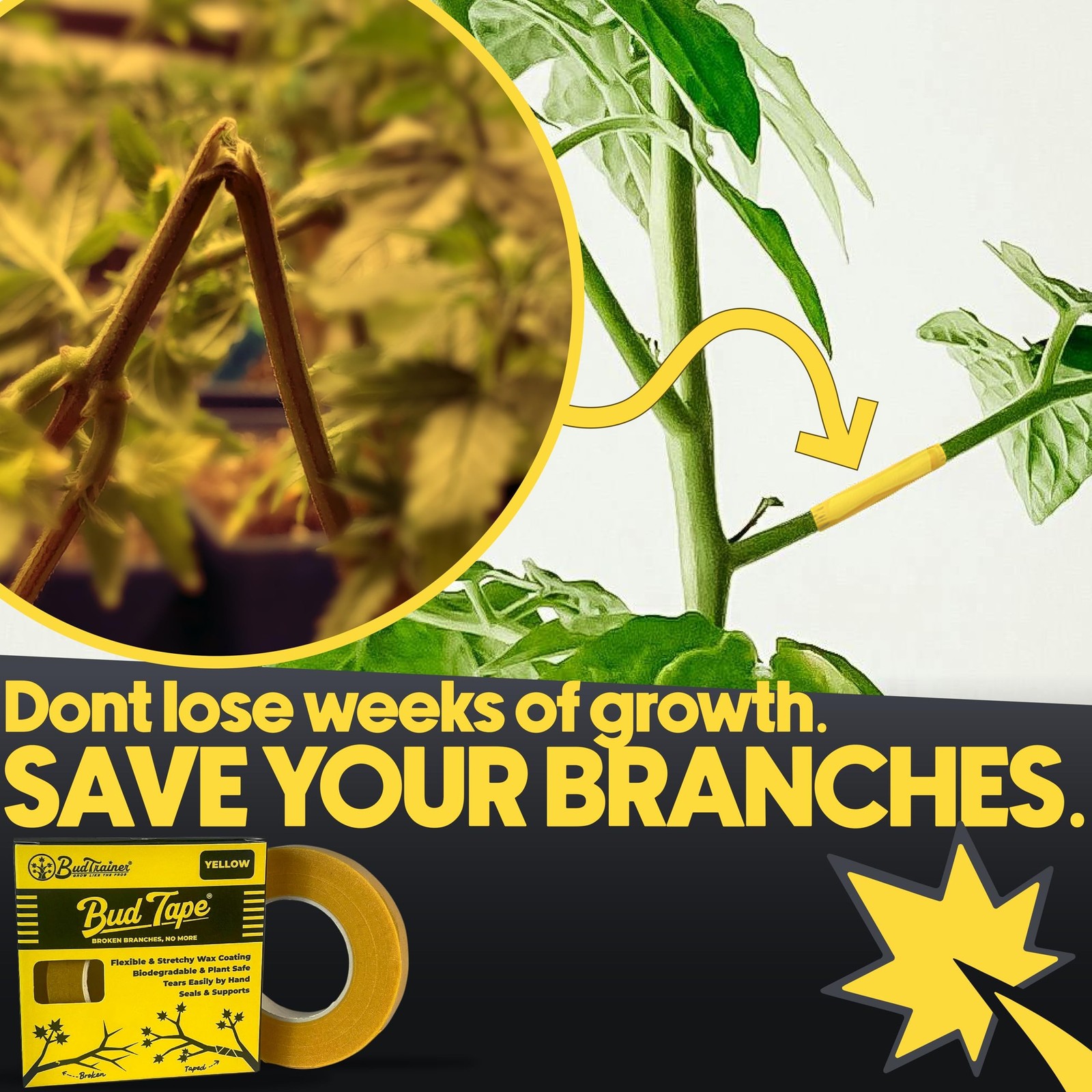 BudTape (90 ft) | Branch Repair Grafting Tape & Gardening Tape | Fix 300+ Bro…
