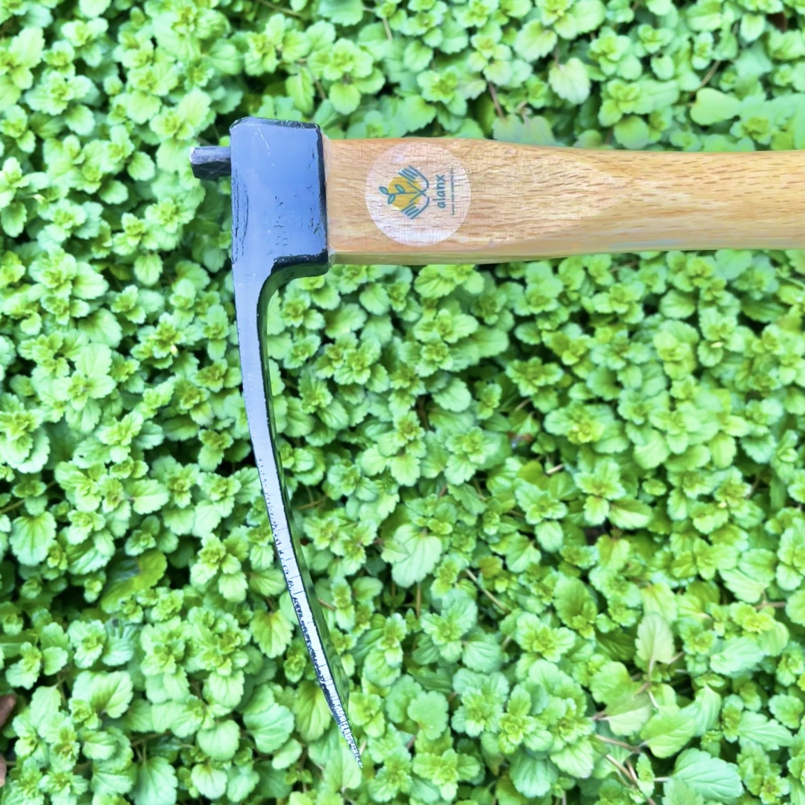 14 Inch Heavy Duty Wide Hoe, Japanese Carbon Steel with Oak Wooden Handle, Wi…