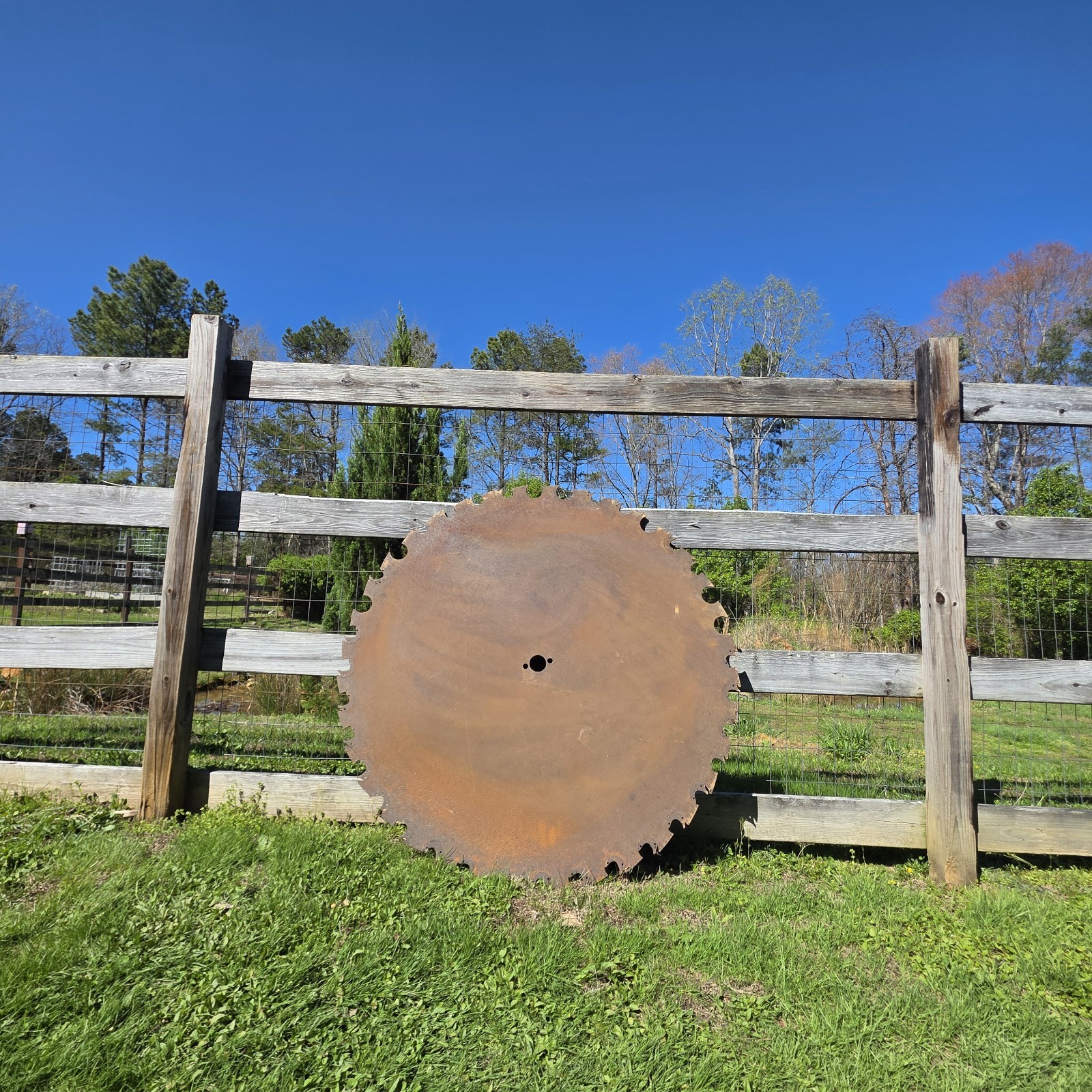 antique 48″ sawmill Saw Blade
