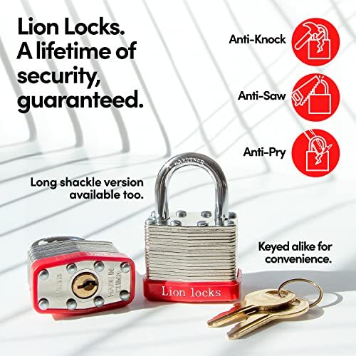 Lion Locks 24 Keyed-Alike Padlocks w/ 1.25â€ Shackle 48 Keys Hardened Steel Ca