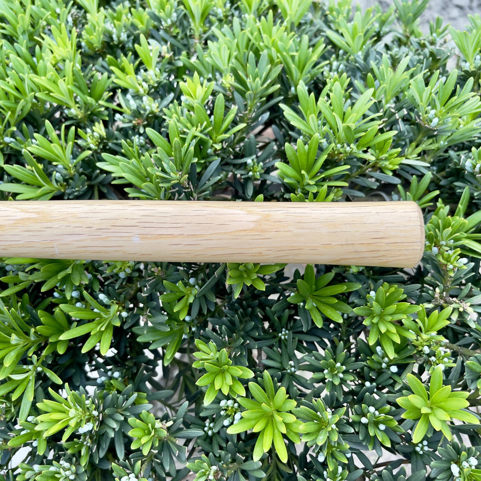 14 Inch Heavy Duty Wide Hoe, Japanese Carbon Steel with Oak Wooden Handle, Wi…