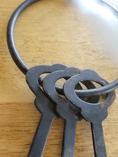 Vintage Wall Decor Flat Steel Skeleton Keys & Ring wall decor