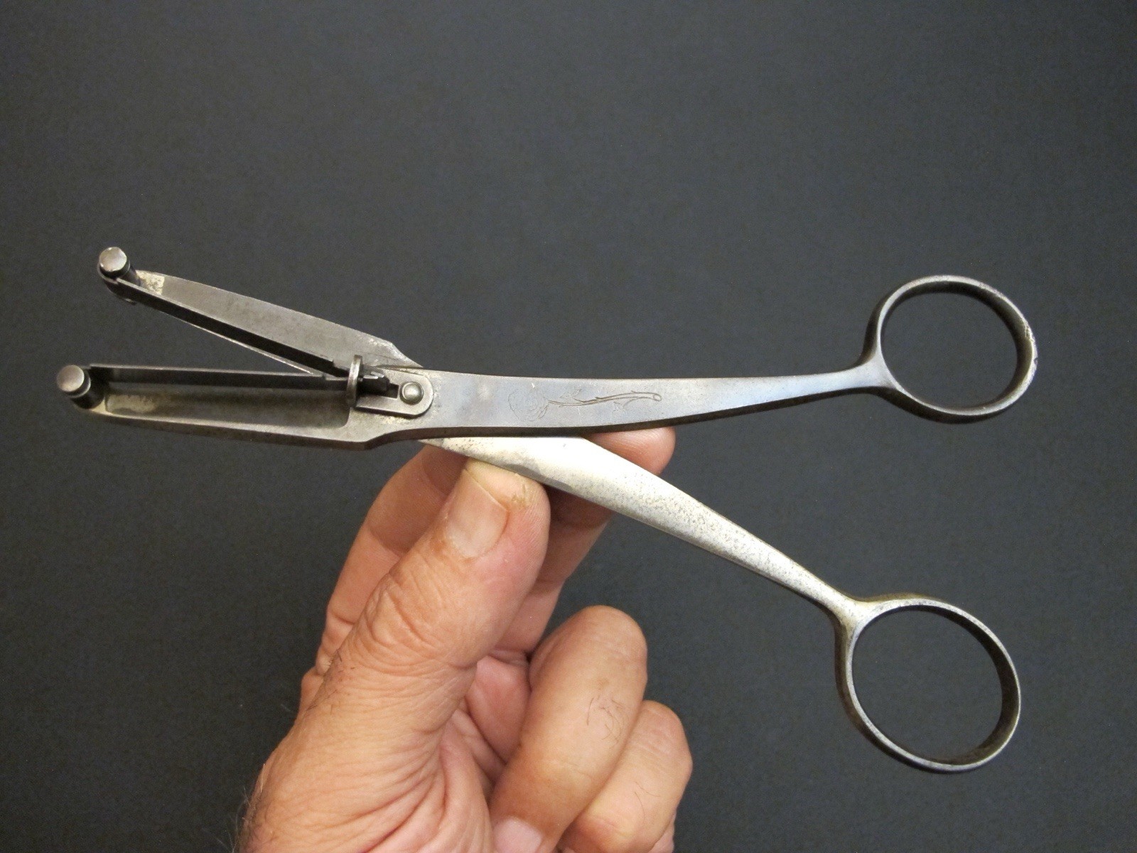 Vtg “Cut and Hold” Florist Scissors Flower Gathering Shears Antique Rare Tool