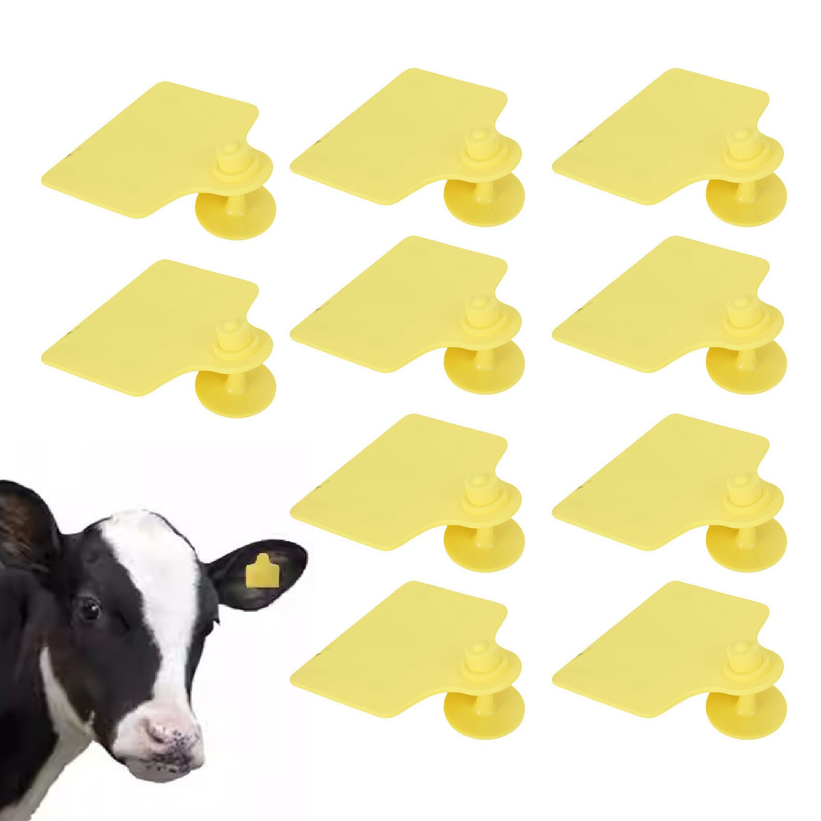 Animal Electronic Ear Tag 10 Pack Electronic Ear Tag For Pig Sheep Cattle For
