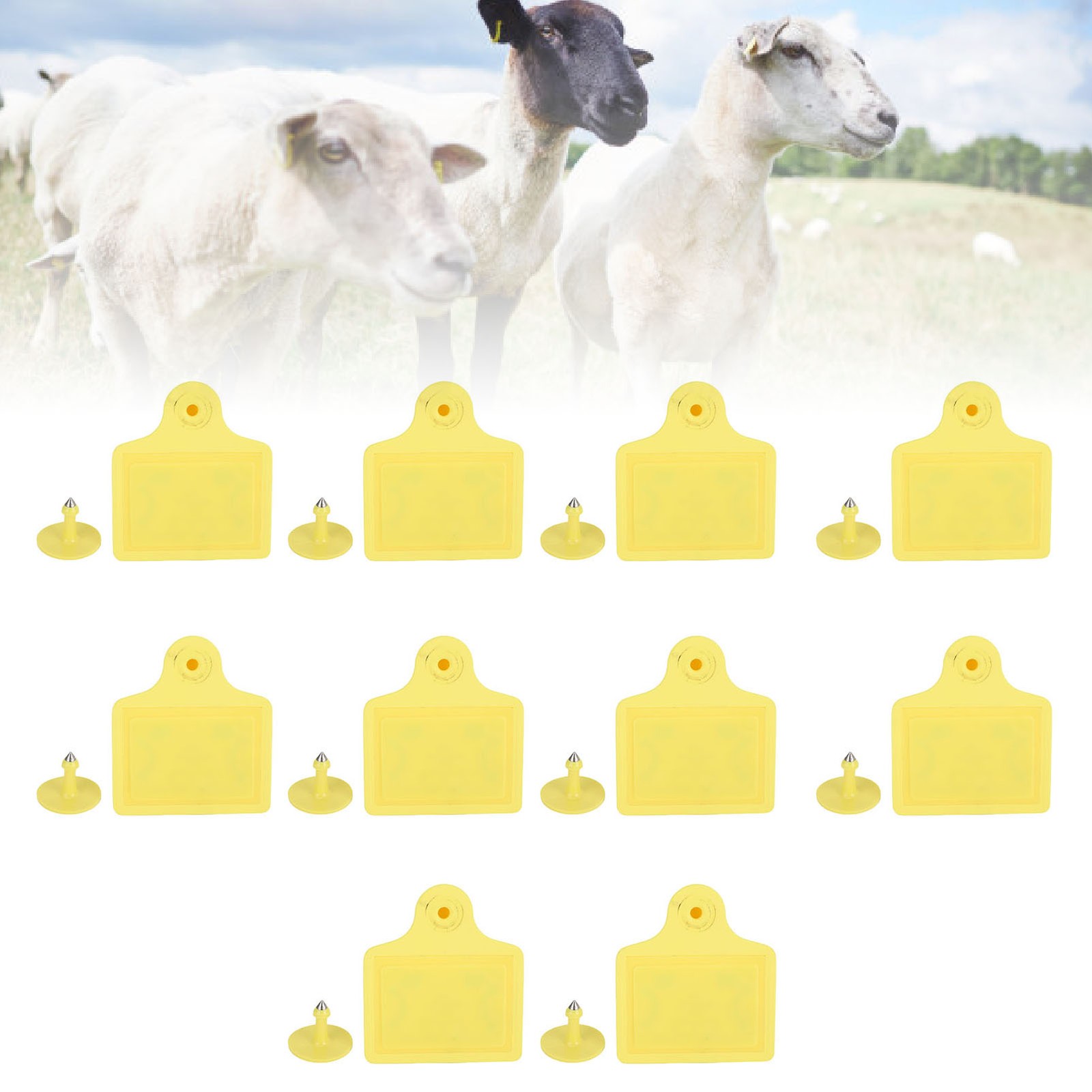 Animal Electronic Ear Tag 10 Pack Electronic Ear Tag For Pig Sheep Cattle For