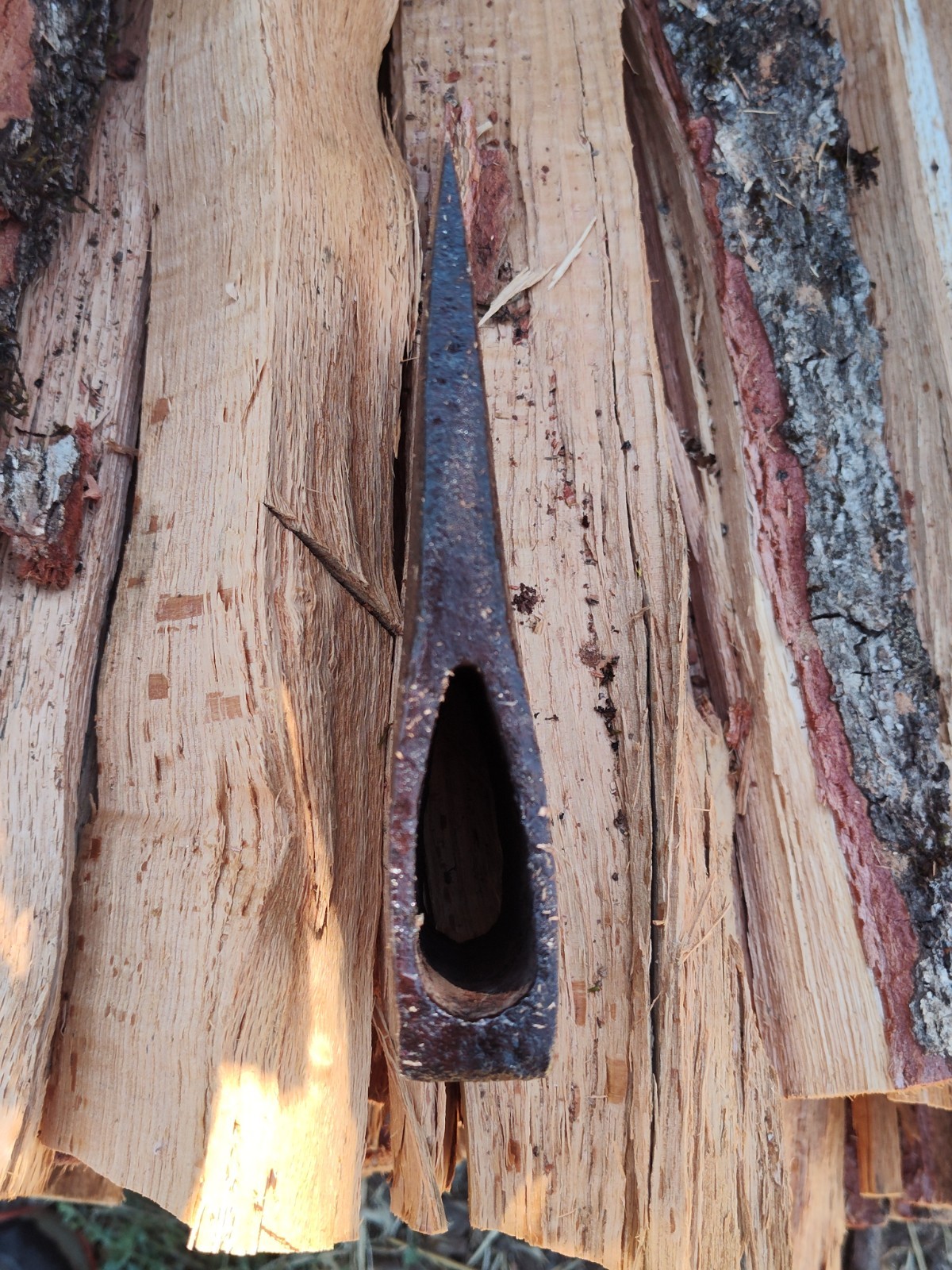 Hytest Forged Tools 4 1/2lb Tasmanian Axe (4.44lb Actual) 1950’s