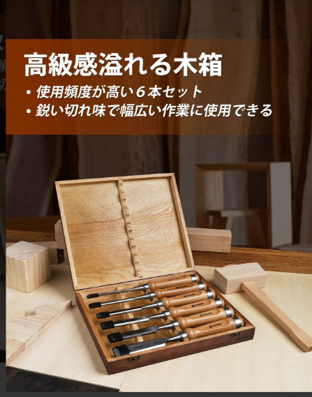 EZARC 6pc Wood Chisel Set 6-25mm Chrome Vanadium Steel Beech Handle Wood Box