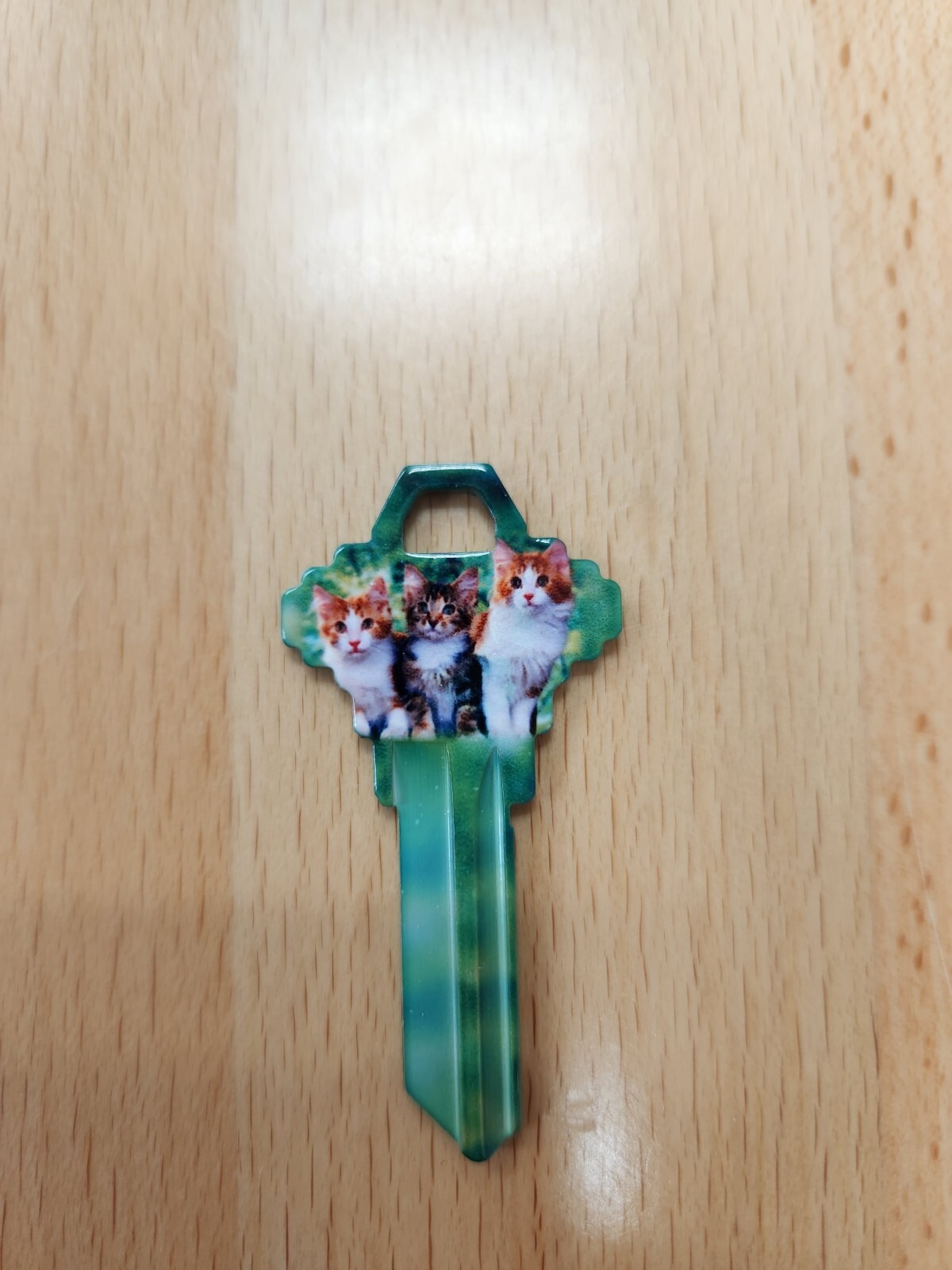 KITTENS PRINTED SCHLAGE SC1 KEYBLANK – READ DETAILS BELOW