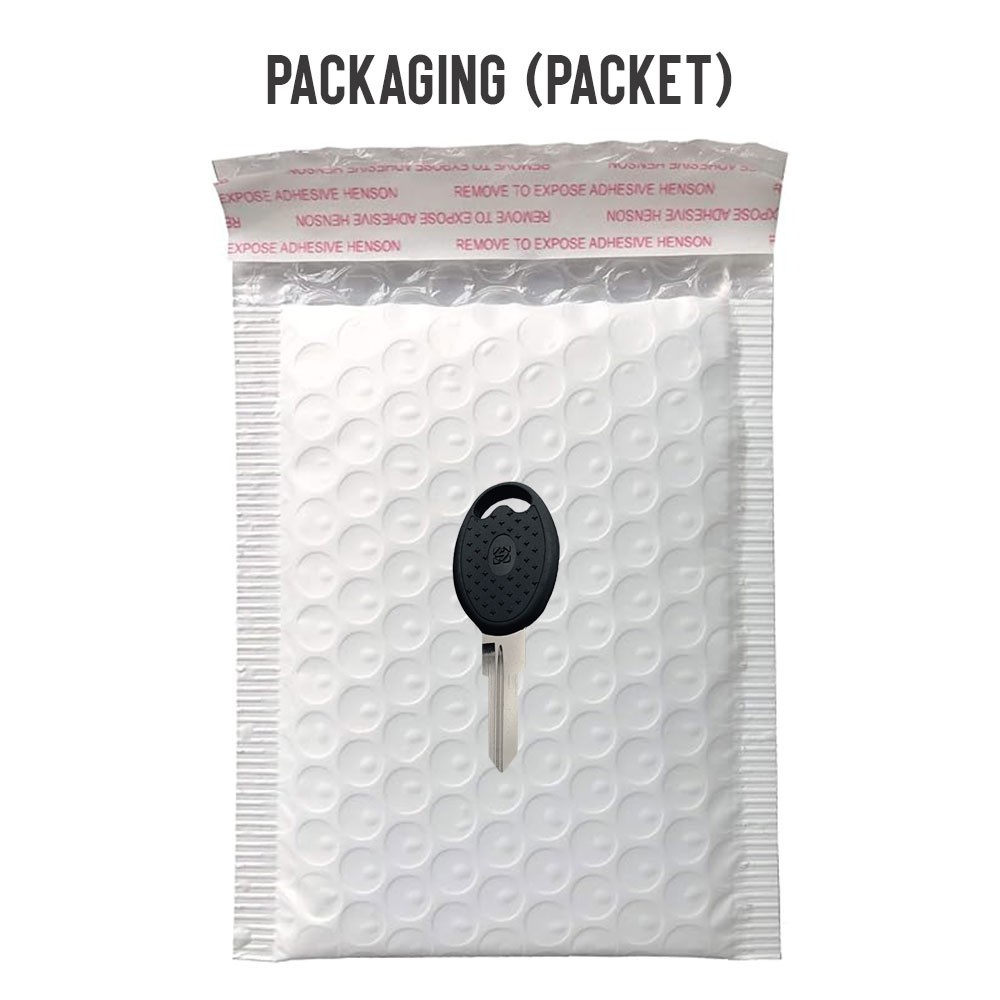 ZD22RBP Plastic Head Key Blank Nickel