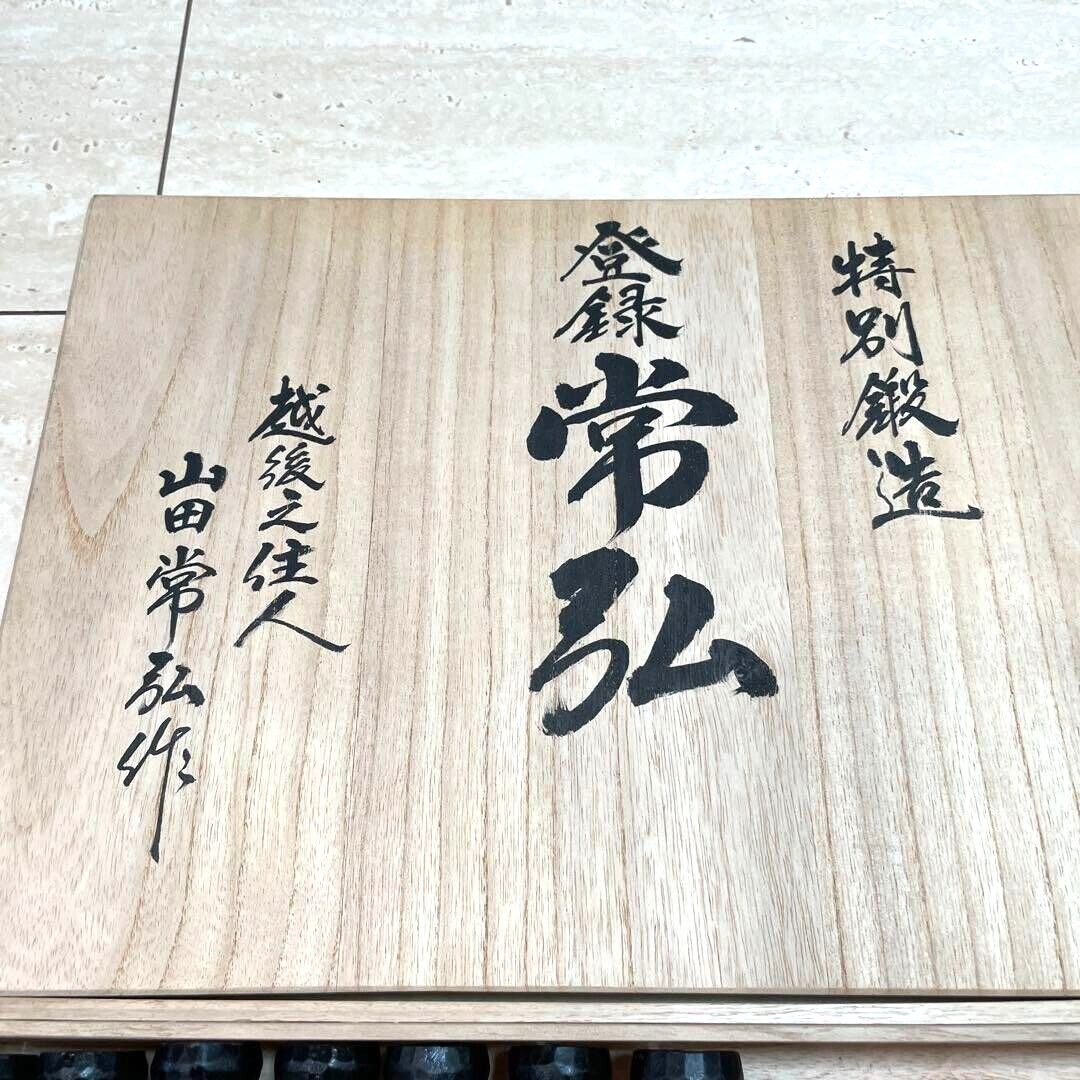 Tsunehiro Oire Nomi Set of 10 Yamada Tsunegoro Japanese Bench Chisels 常弘 追入鑿