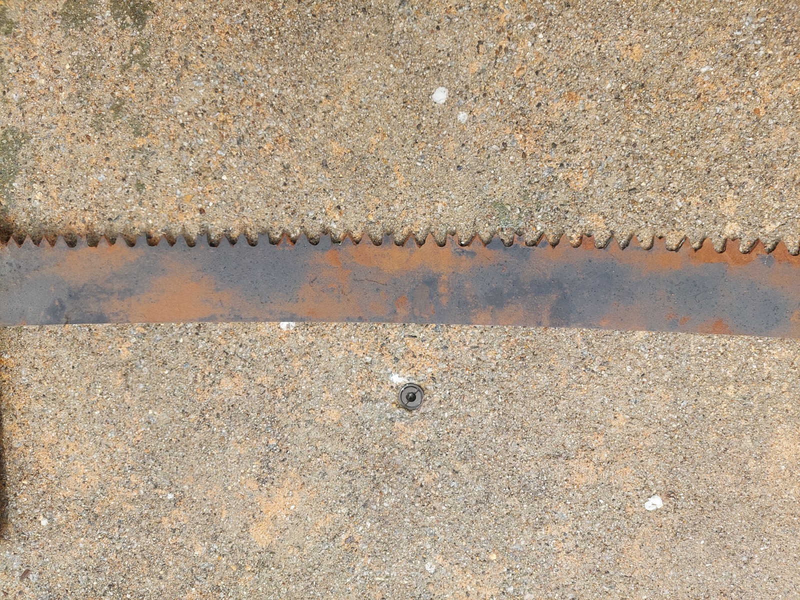 Barn Antique Hand Painted Two Man Crosscut Logging Saw 60″ Blade Log Tool Maine