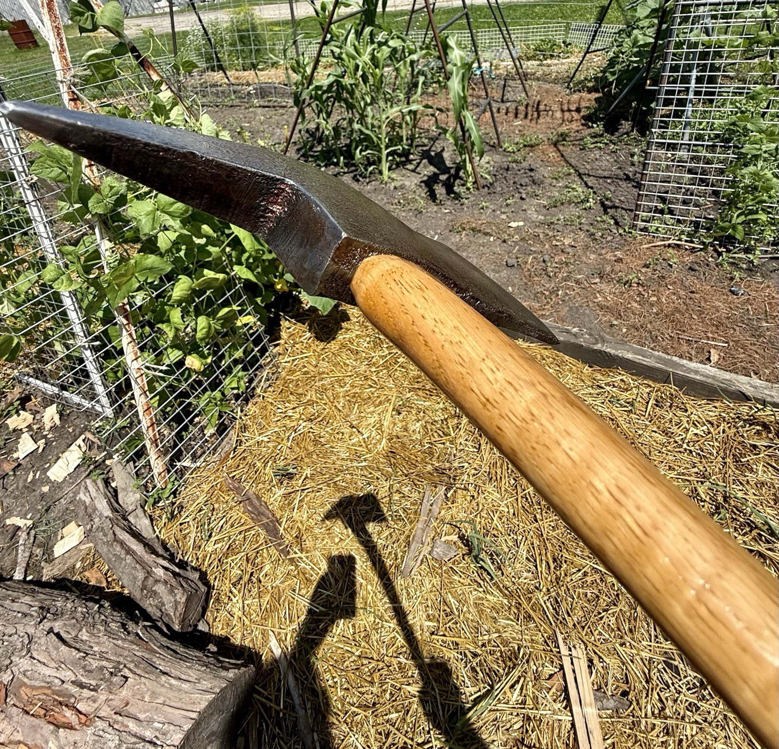 Vintage Collins? Bus/Fire Axe On A Curly Hickory Kelly Wood Slasher Handle READ!