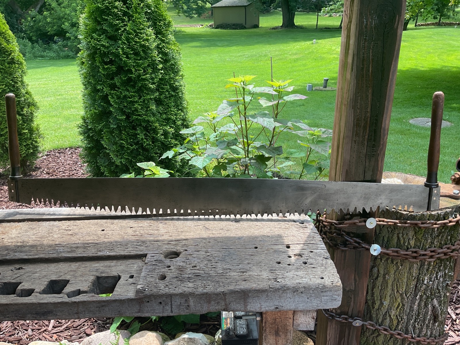 Vintage DISSTON CROSSCUT 2 Man Saw CHAMPION PATTERN? 5’ w/HANDLES (FAINT ETCH)