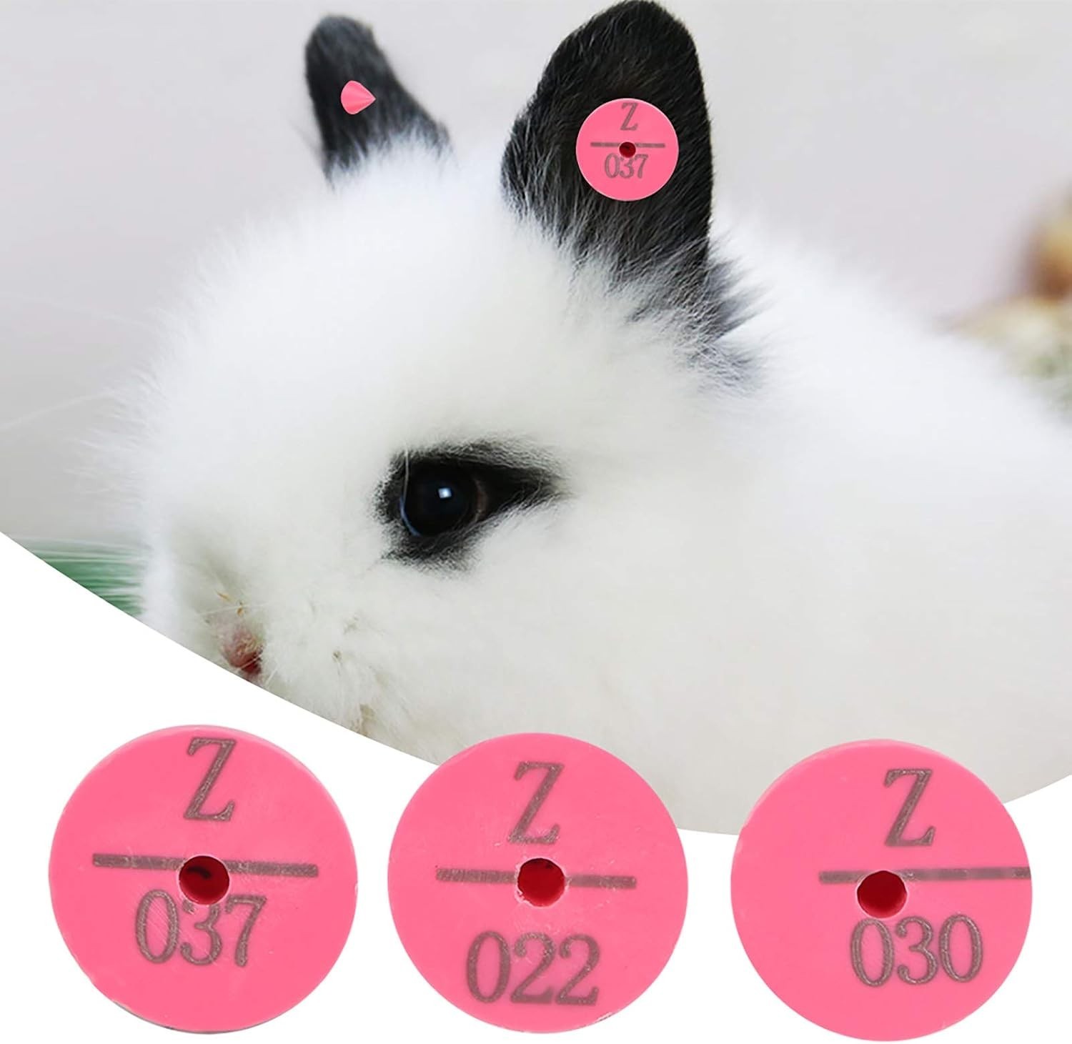 100Pcs Quality Plastic Animal Livestock Ear Tag for Rabbit Dog Marker Label L…