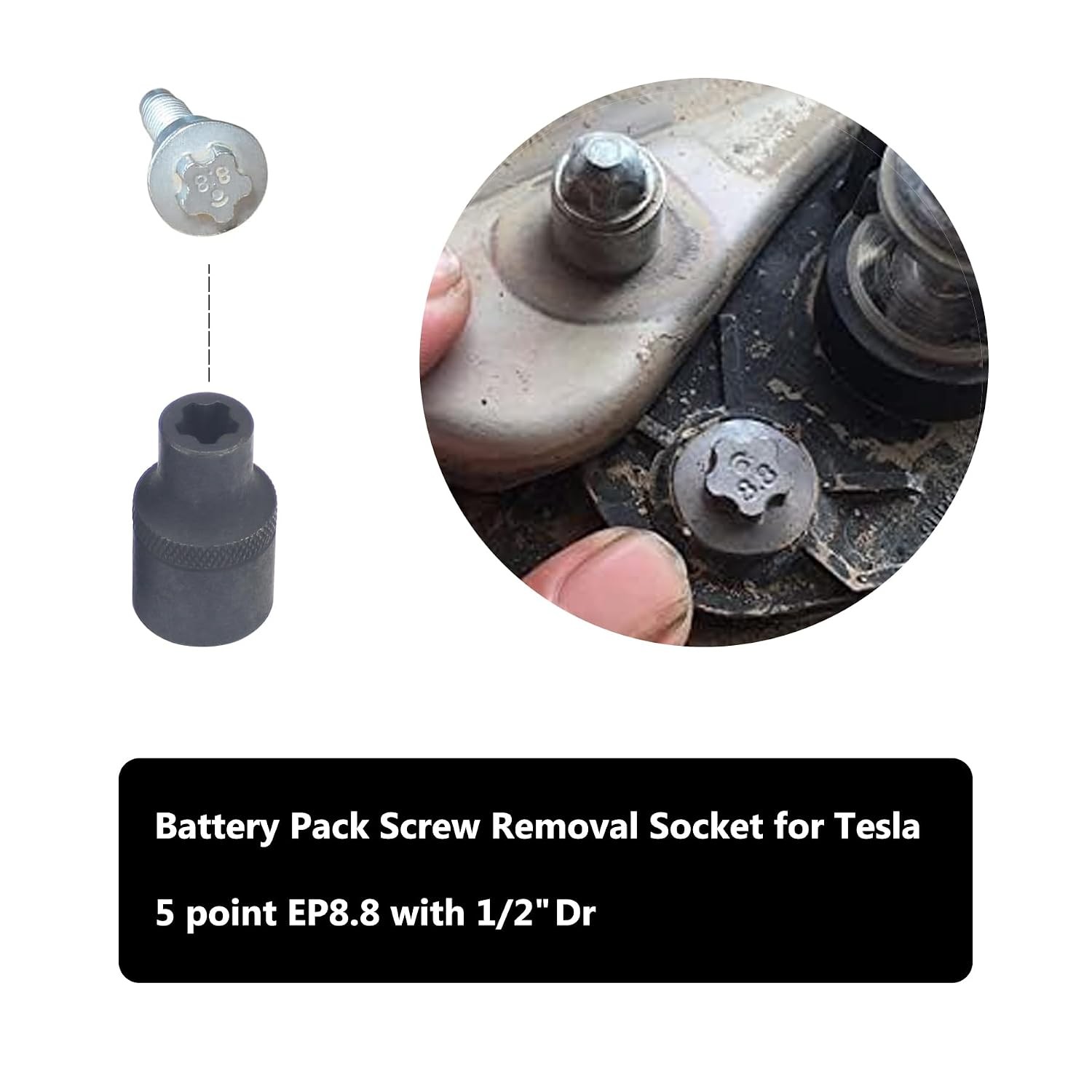 19pc External Torx Plus Socket Set 6 Point EP4, EP5, EP6, EP7, EP8, EP10, EP11,