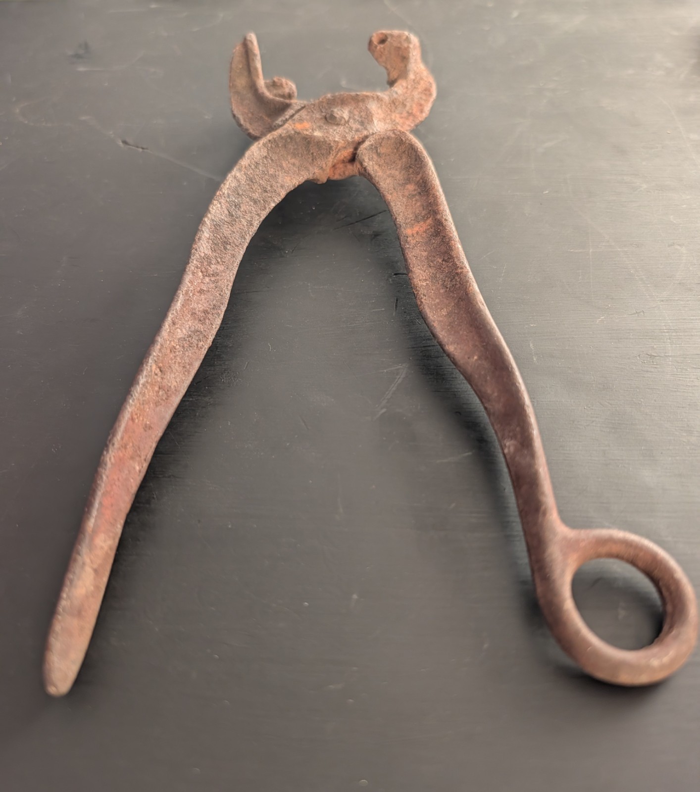 Antique E. C. Stearns & Co Ear Notching Farm Tool Incomplete Ranch Cows Stock