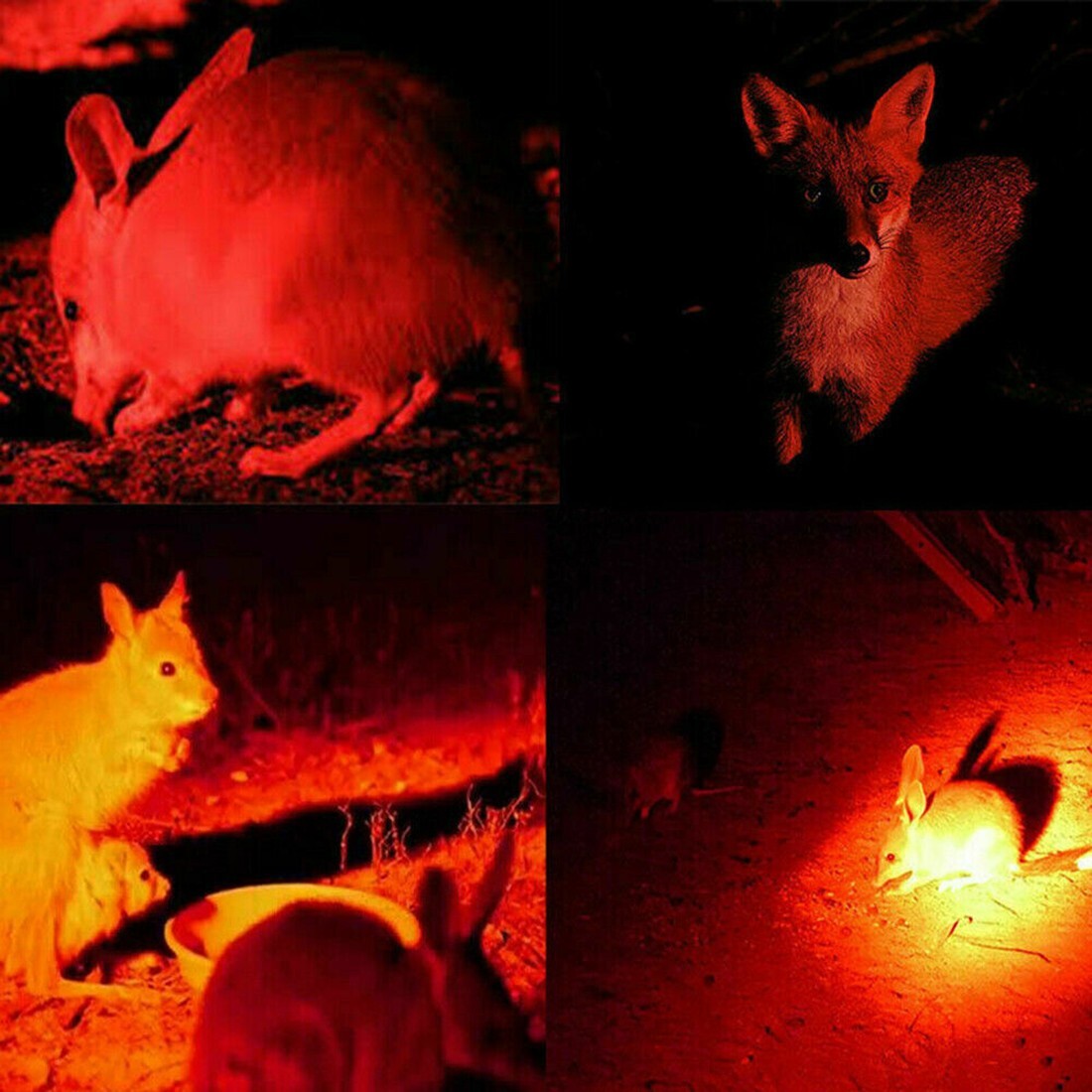 Red Light LED Flashlight Zoomble 600LM Rechargeable Astronomy Night Vision Lamp