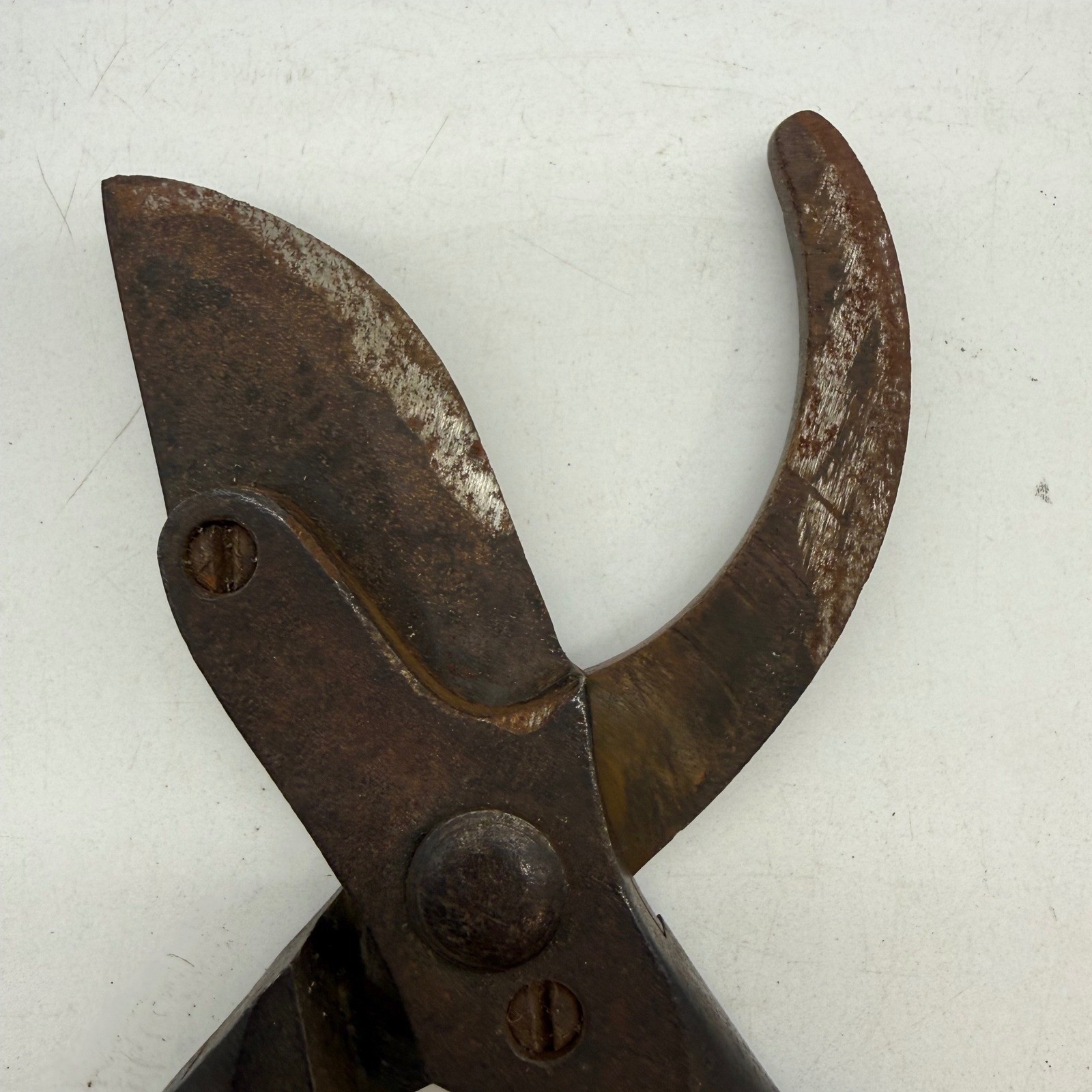 Antique Primitive Cast Iron Garden Pruning Shears Rustic Farmhouse Tool Decor