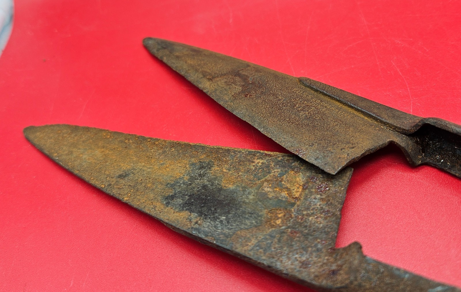 Vintage TUSS CO Sheffield Steel 13″ Sheep Shears