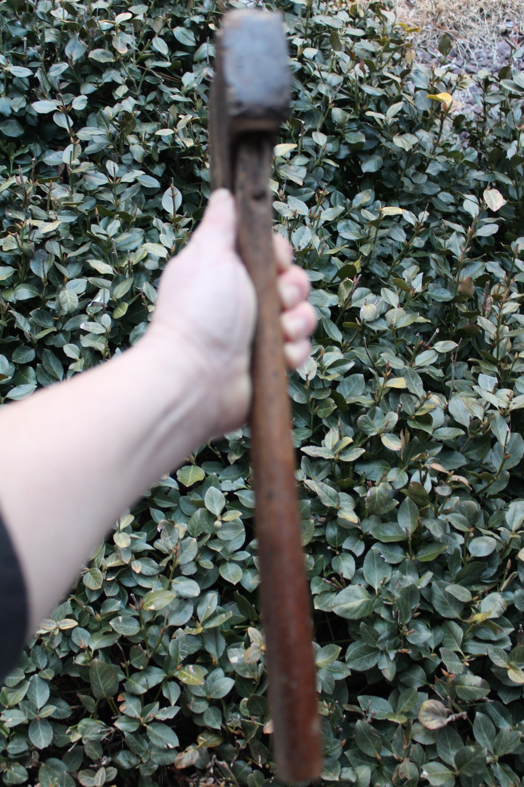 Antique 19th Century Pennsylvania Broad Axe / Hatchet & Handle (16″)