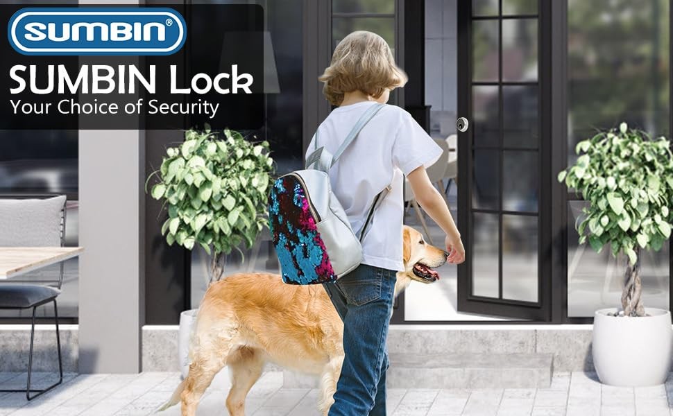 SUMBIN Storefront Door Mortise Lock Deadbolt & Cylinder Combo, 1, SN